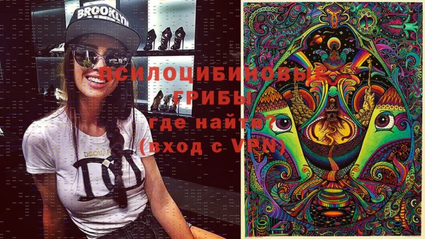 МДПВ Армянск