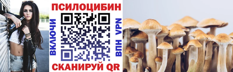 мега зеркало  Нижний Новгород  Галлюциногенные грибы мухоморы 
